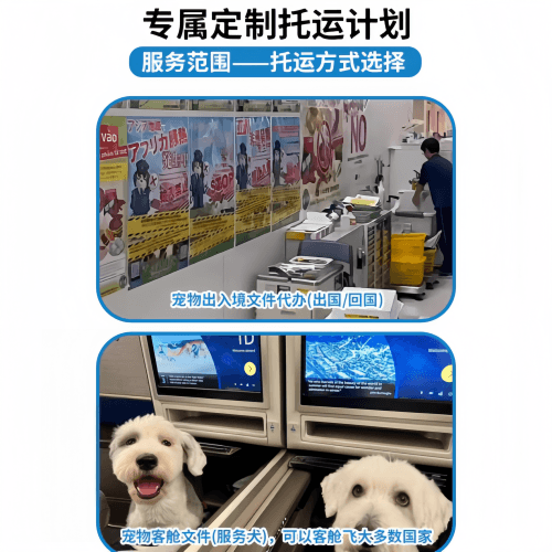 1733120105738.png