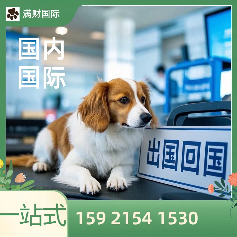 上海到澳大利亚（澳洲）宠物入境规定和要求